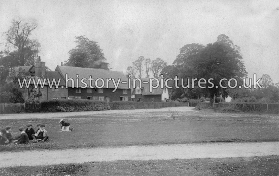 The Village, Rickling Green, Essex. c.1908